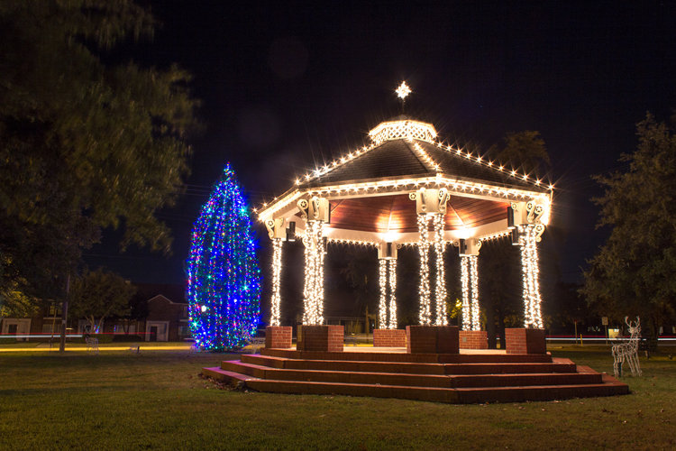 Patton's Christmas Trees Dallas - Lighting