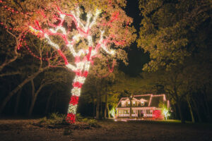 Dallas Christmas decorating services - christmas lights installation by Patton's Christmas Trees