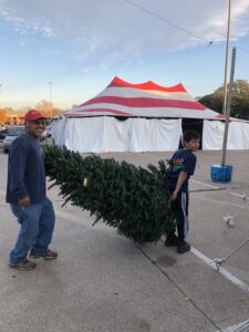 Real Christmas Trees Dallas - Patton's Christmas Trees