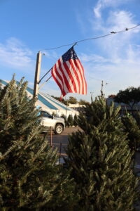 Patton's Christmas Trees set up at the corner of Mockingbird & Abrams in Lakewood Village - the longest running Christmas tree lot in Dallas / DFW